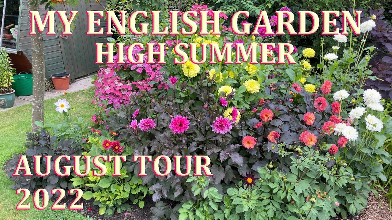 High Summer Back Garden Tour - My English Garden in Flower  - August 2022