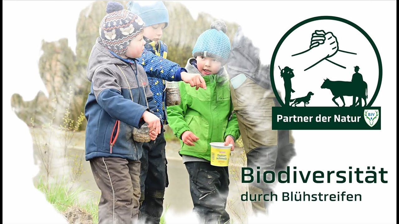 Partner der Natur: Biodiversität durch Blühstreifen