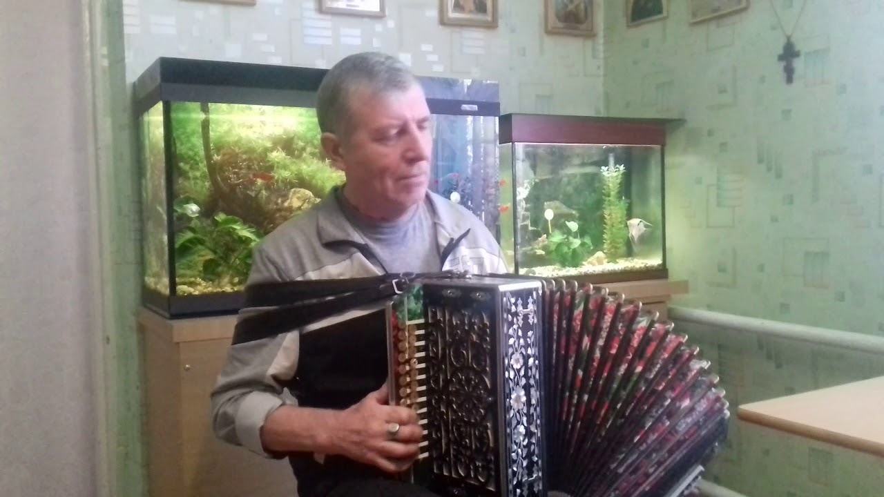 Александр Тихонов   Ромашки спрятались