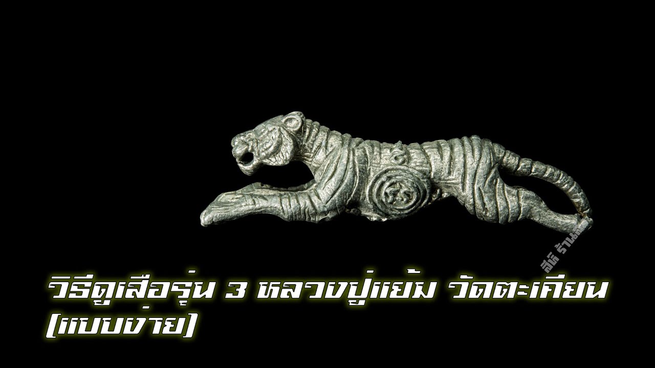 เสือหลวงปู่แย้มวัดตะเคียน(การดู)​