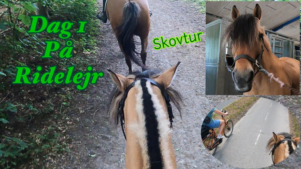 Ridelejr Del 1 - Skovtur