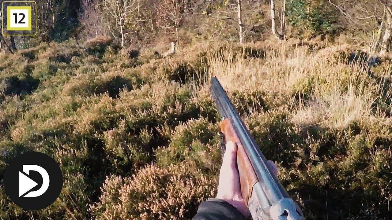 Jegertvillingene | Her skyter Kristine et rådyr | discovery+ Norge