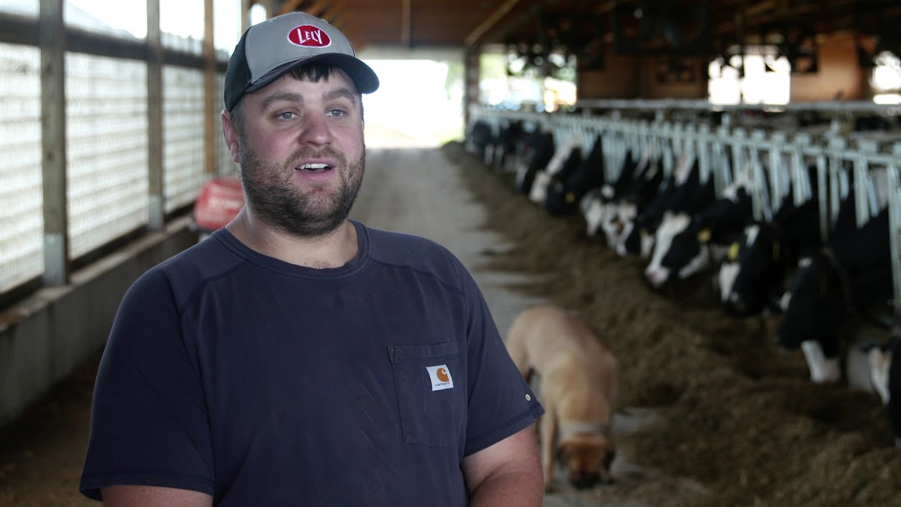 Richland Dairy Farm – Lely Life Story