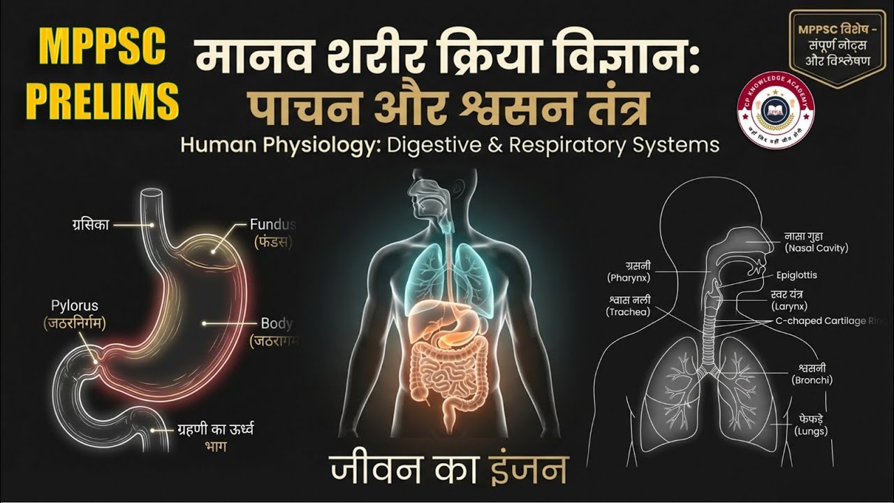 मानव शरीर रचना: पाचन तथा श्वसन तंत्र।। Digestion and respiratory system।।MPPSC PRELIMS UNIT 7