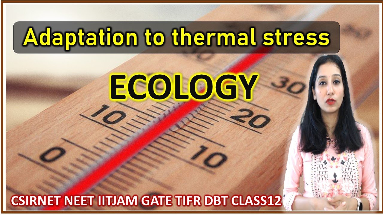 Adaptation to Thermal Stress I Stress Physiology I Ecology I CSIRNET I GATE I NEET I CLASS12
