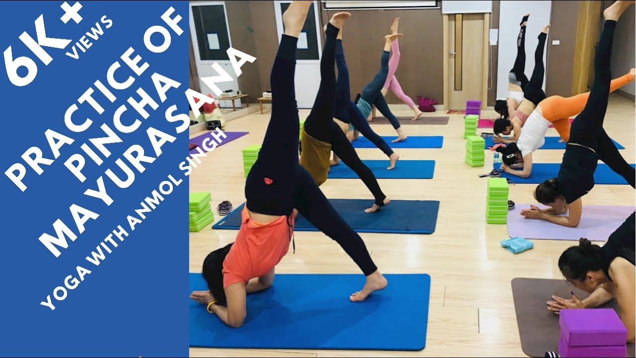 Pincha Mayurasana | How To Practice Pincha Mayurasana | Anmol Singh | India