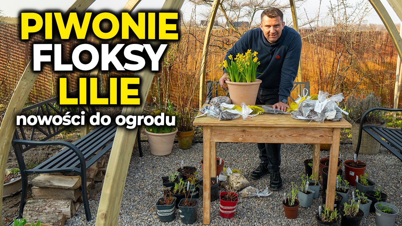 Mega piwonie do ogrodu. Floksy, bodziszki, lilie które musisz mieć w 2024.