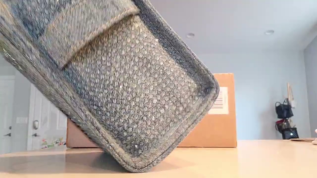 The Cutest Denim Bag Reveal 🌟