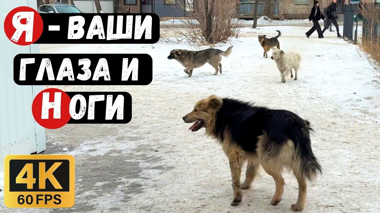 Я ваши глаза и ваши ноги Караганда 19 микрорайон | Пешая прогулка 4к
