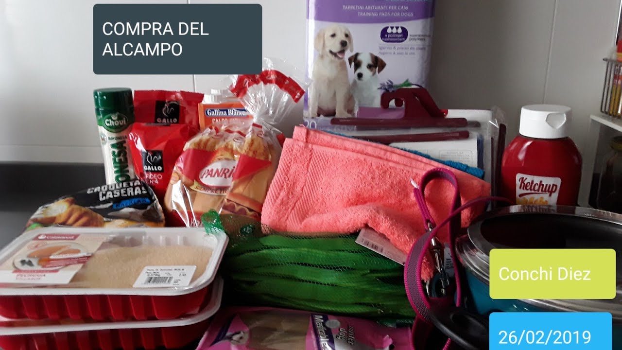 COMPRA DEL ALCAMPO UTEBO (ZARAGOZA)  26/02/2019 Conchi Diez 😘😘💖