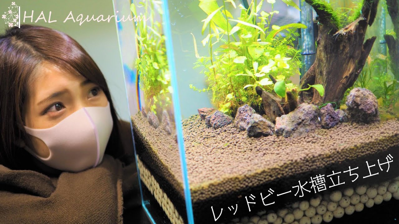 【アクアリウム】#29