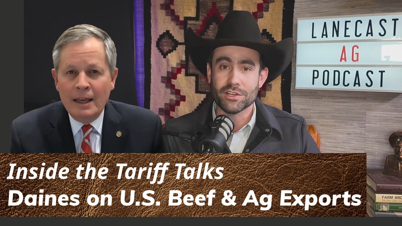 Inside the Tariff Talks: Senator Daines on U.S. Beef & Ag Exports