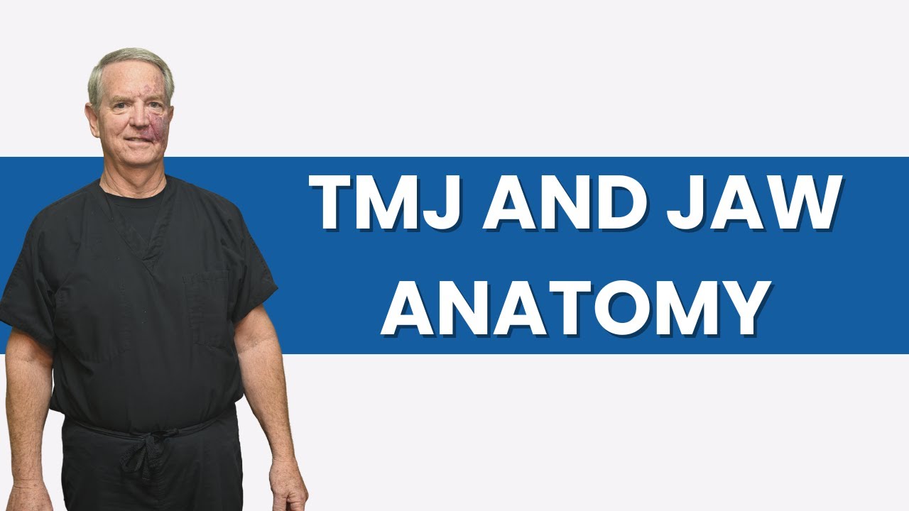 TMJ and Jaw Anatomy: Everything You Need to Know