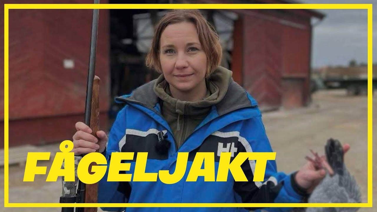 Vi jagar duvor och kajor