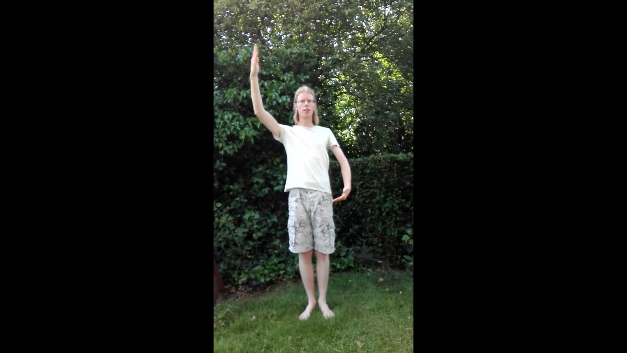 Eurythmy alphabet, Eurythmie Alphabet