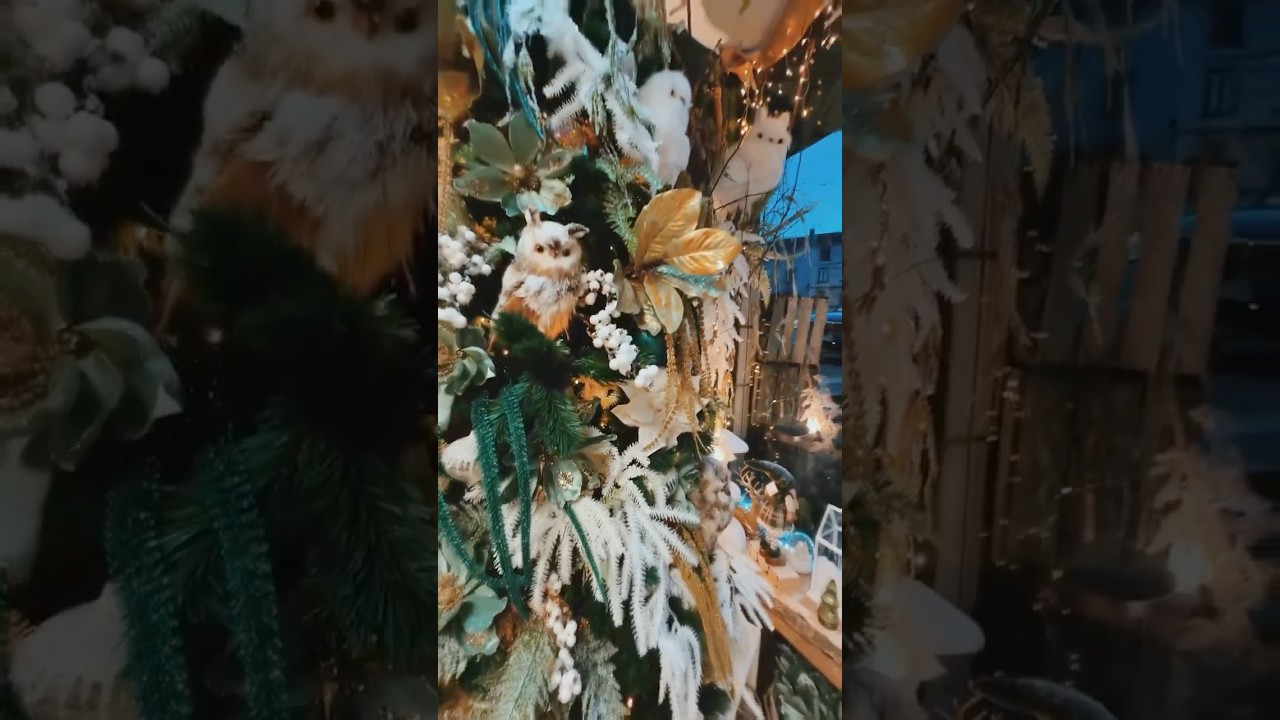 Vitrine de Noël nature 2025 #noel #fleuriste #creuse #decoration #nature