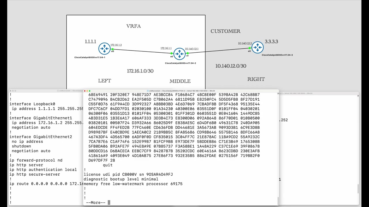 RouteLeaking with Route Target import and export