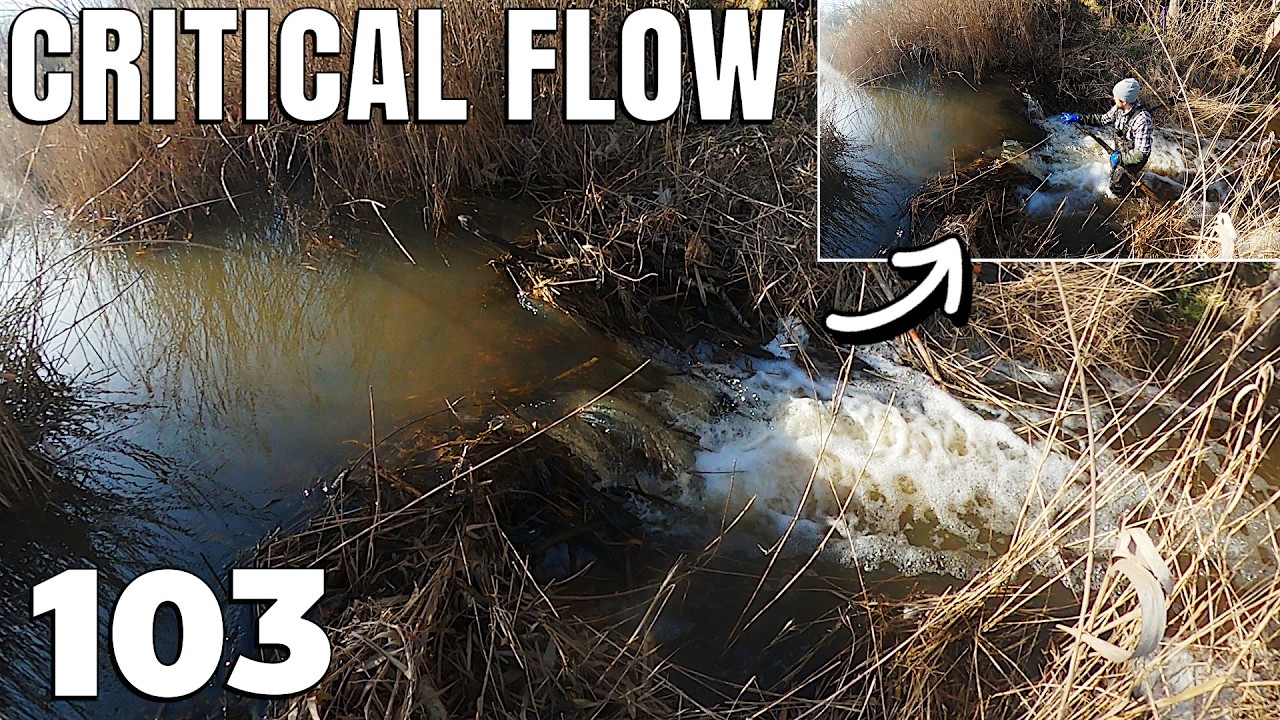 CRITICAL FLOW: Removing 100+ Branches from Beaver Dam | No.103