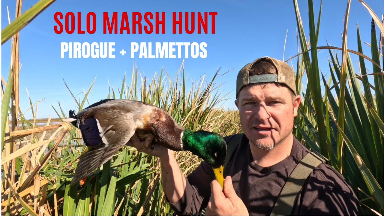 Solo Marsh Duck Hunt - Jan 2026 - Bonus Mystery Duck?