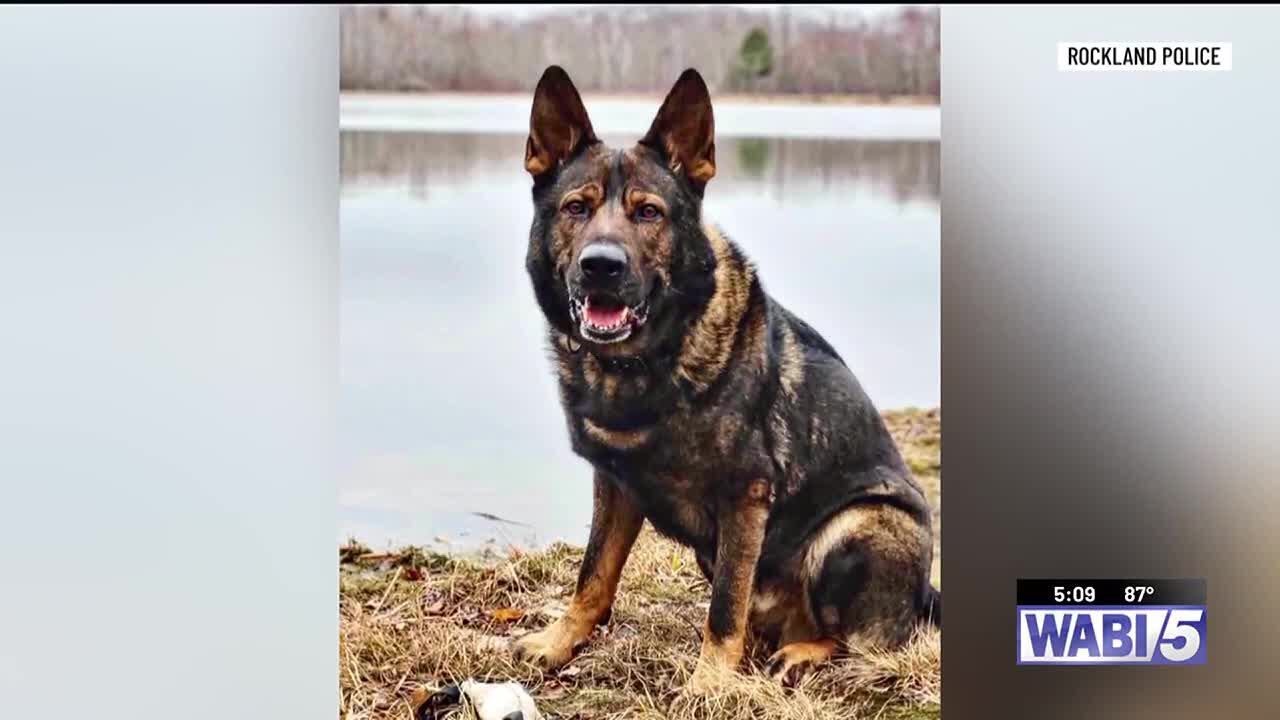 &lsquo;His life was full&rsquo;: Retired Rockland Police K9 honored with memorial service