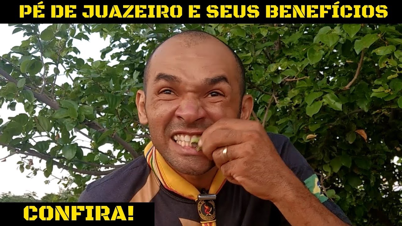 PÉ DE JUAZEIRO E SEUS BENEFÍCIOS