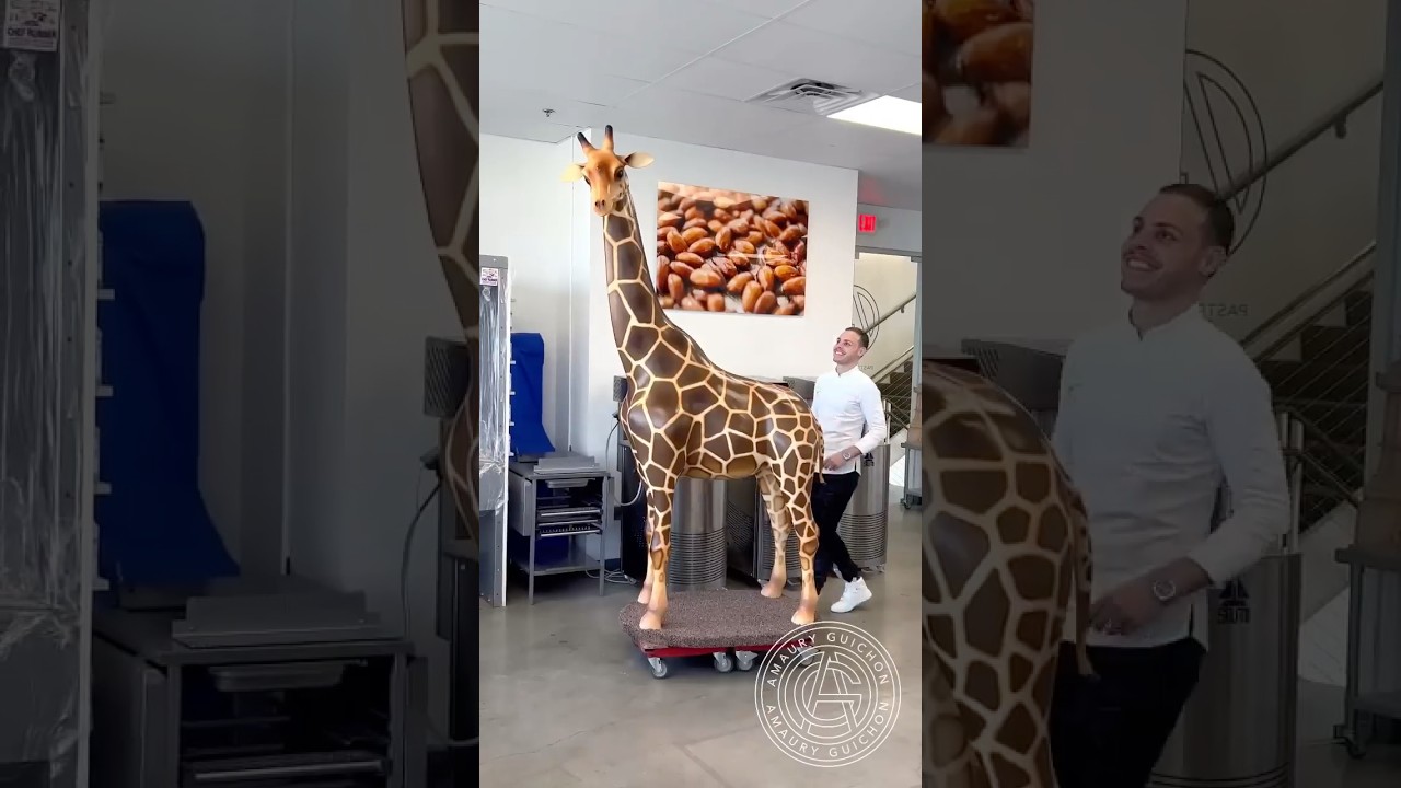 Chocolate Giraffe! 🦒 This 8.3ft tall 100% chocolate sculpture is my biggest creation yet!