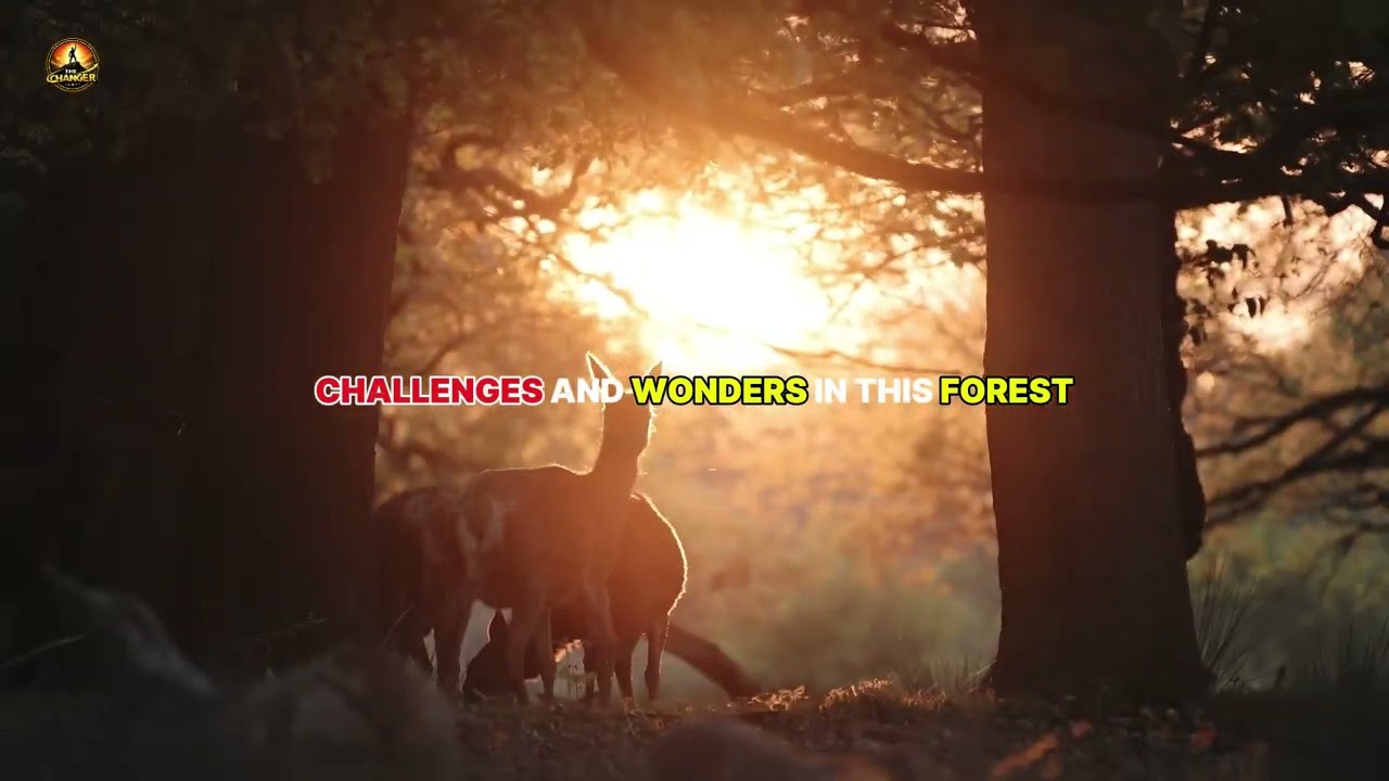 The Forest Animal&rdquo;#ForestStory #Motivation #LifeLessons #Nature #TheChanger #Inspiration
