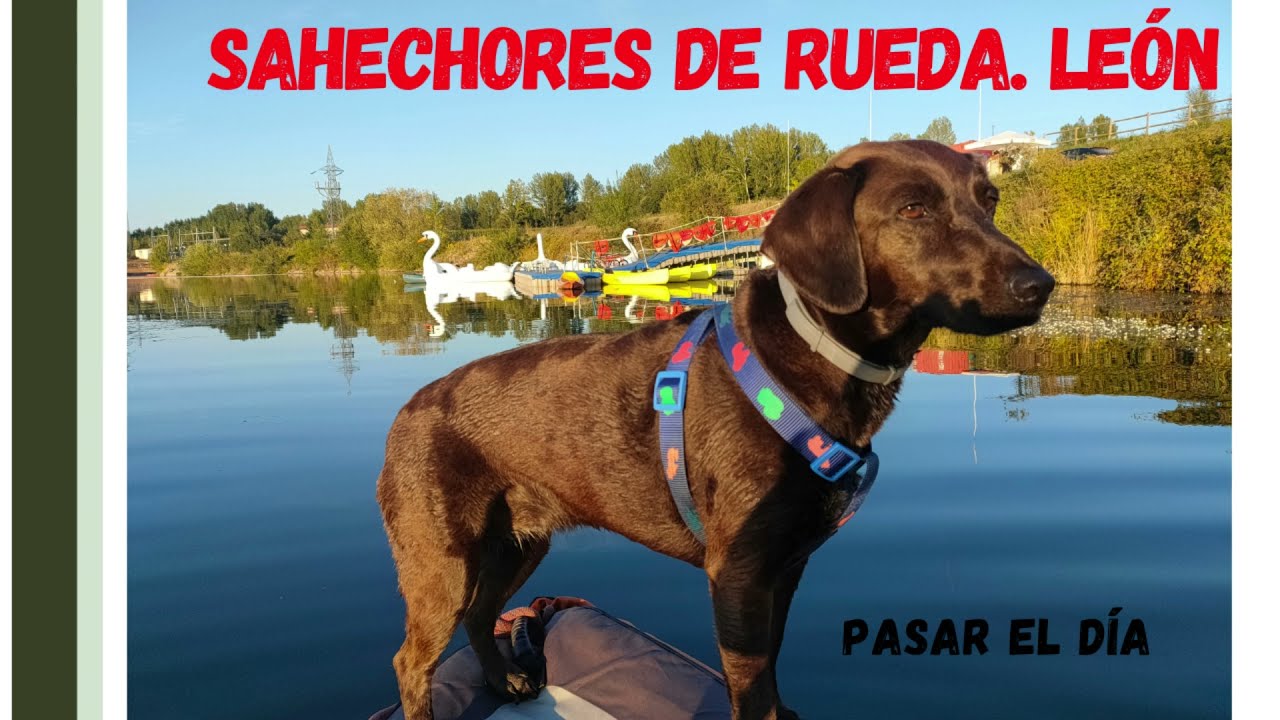 SAHECHORES DE RUEDA.  A NAVEGAR POR EL RÍO ESLA. PASA UN DÍA EN FAMILIA CON TU MASCOTA