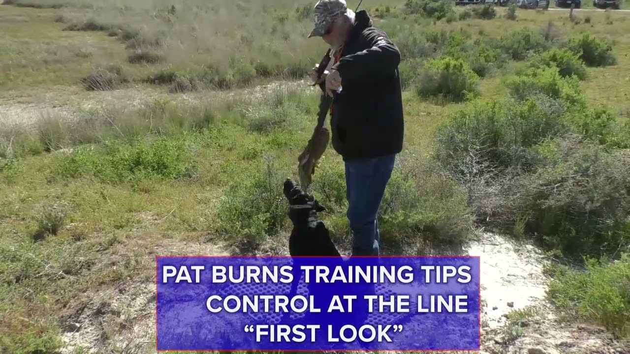 Pat Burns Training Tips   First Look