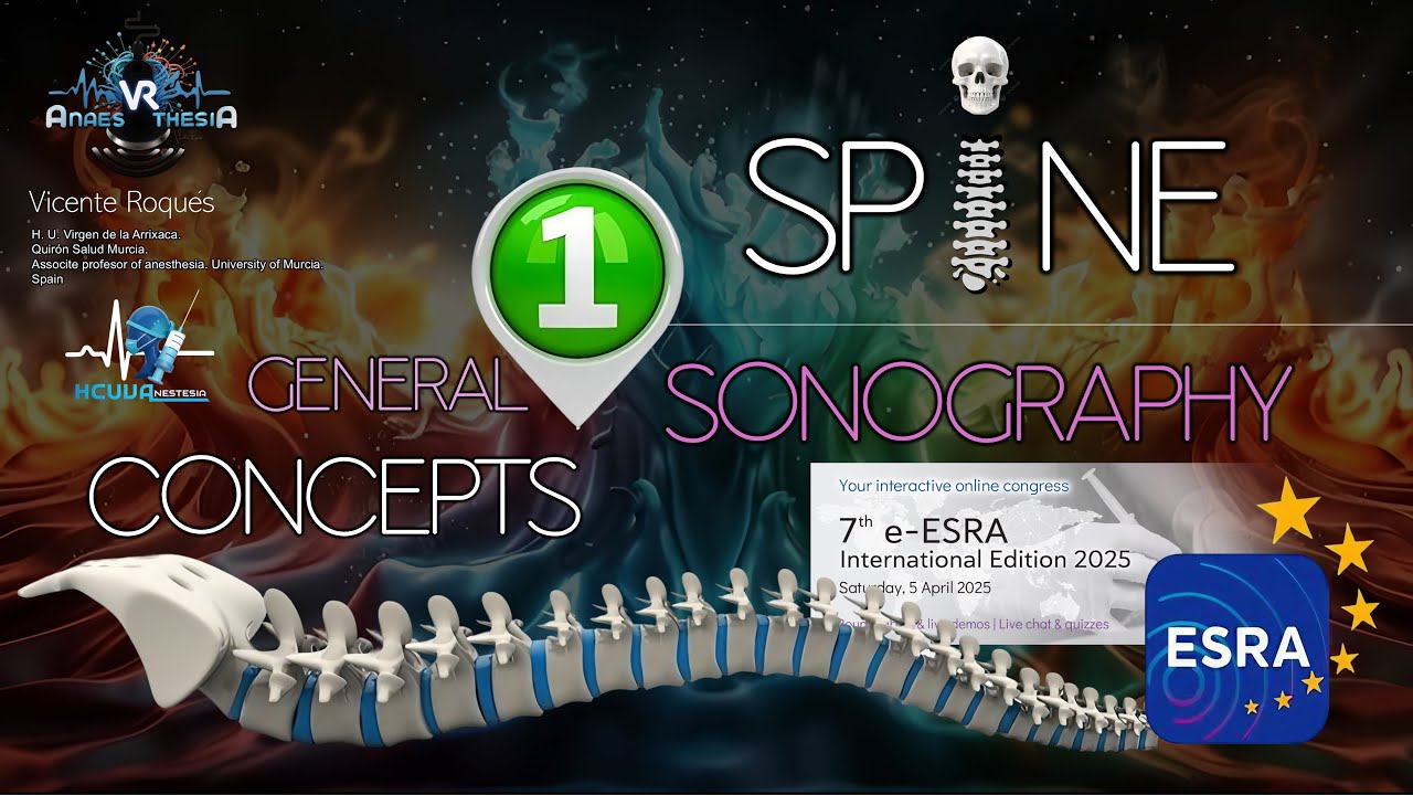 SPINE SONOGRAPHY. PART 1 (GENERAL CONCEPTS)