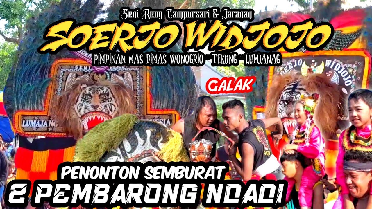 PEMBARONG DADAK MERAK REOG SURYO WIJOYO NGAMUK PARAH DI KARANGREJO YOSOWILANGUN