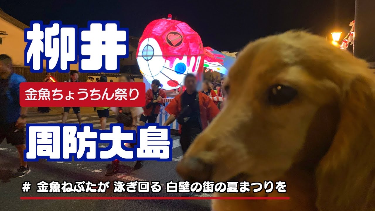 フリードプラス 車中泊【 柳井・周防大島】金魚ねぶたが 泳ぎ回る 白壁の街の夏まつりを