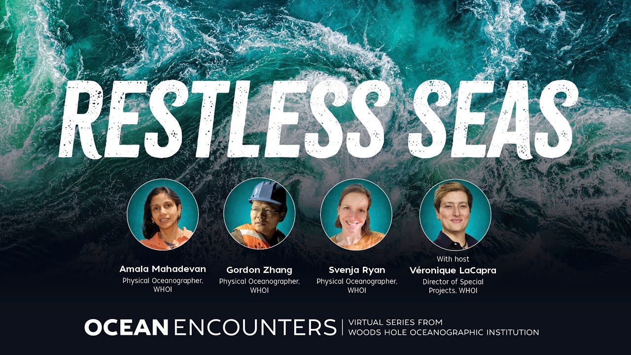 Ocean Encounters: Restless Seas
