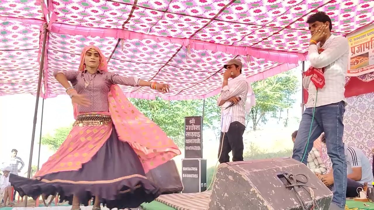 विक्रम मीणा ढांचा