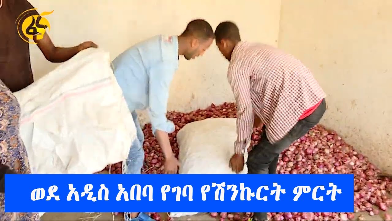ወደ አዲስ አበባ የገባ የሽንኩርት ምርት