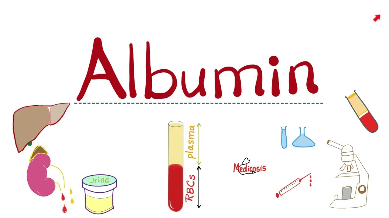 Serum Albumins - Plasma Proteins - Liver Function Tests (LFTs) - Oncotic Pressure - Hematology Labs 