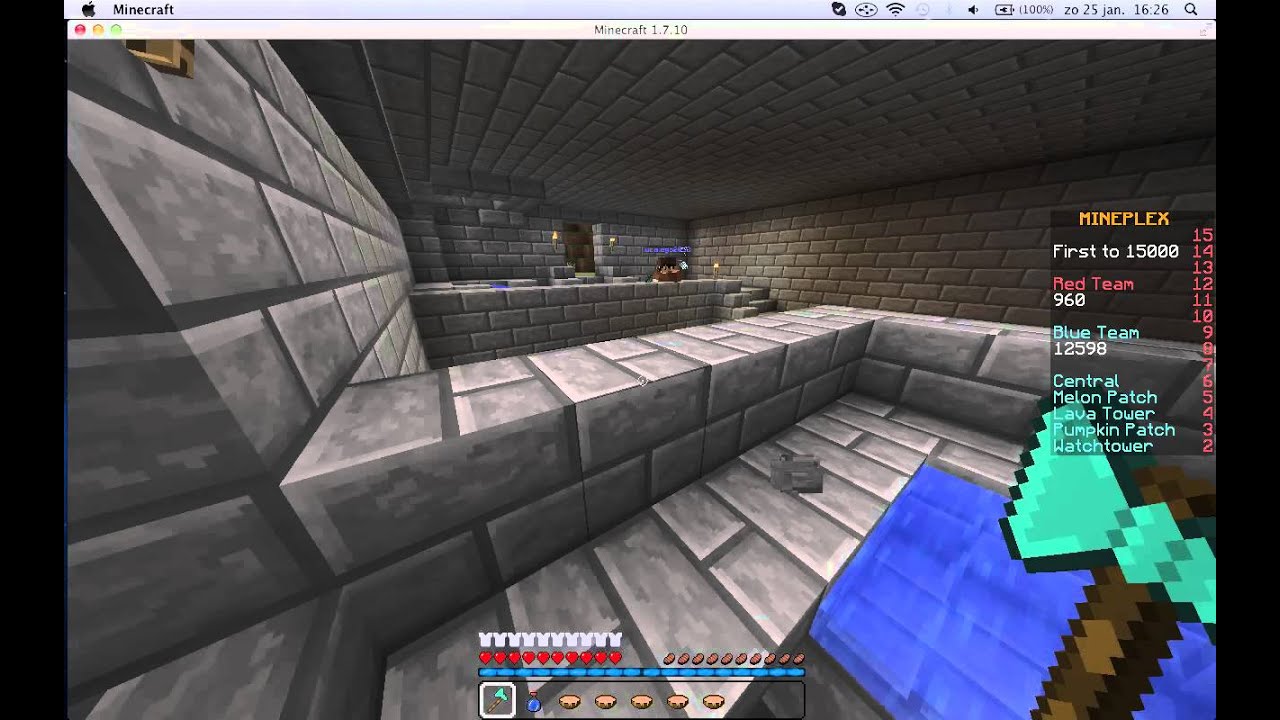 Hacker exposed on eu.mineplex.com!