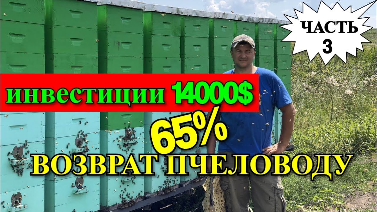 ИНВЕСТИЦИИ И ВОЗВРАТ ДЕНЕГ ПЧЕЛОВОДУ/На пасеке Андрея Бодяна 2019