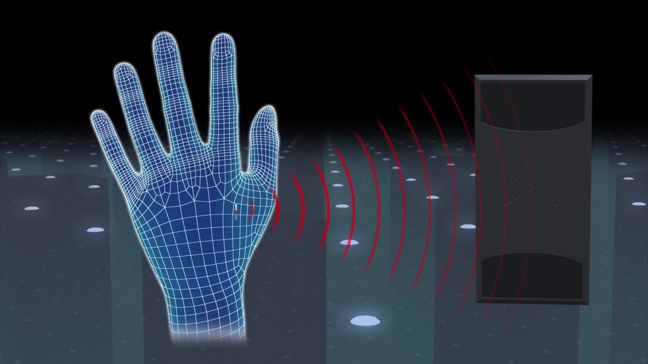 Chip My Life: Australians implanting microchips in their hands to unlock doors