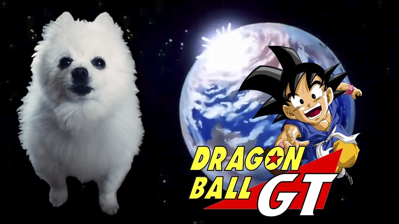 DRAGON BALL GT em CACHORRÊS