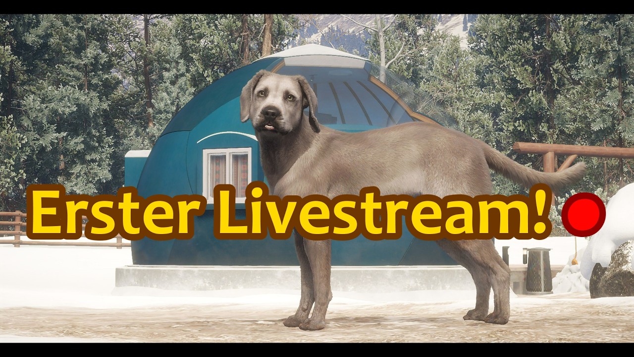Ich bin WIEDER DA! Auf gehts in The Hunter!