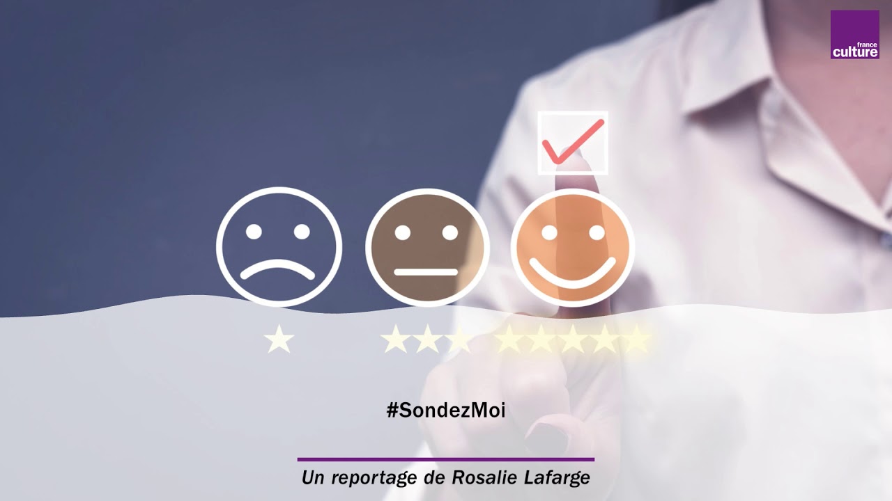 Sondages : la fabrique d'une arme politique