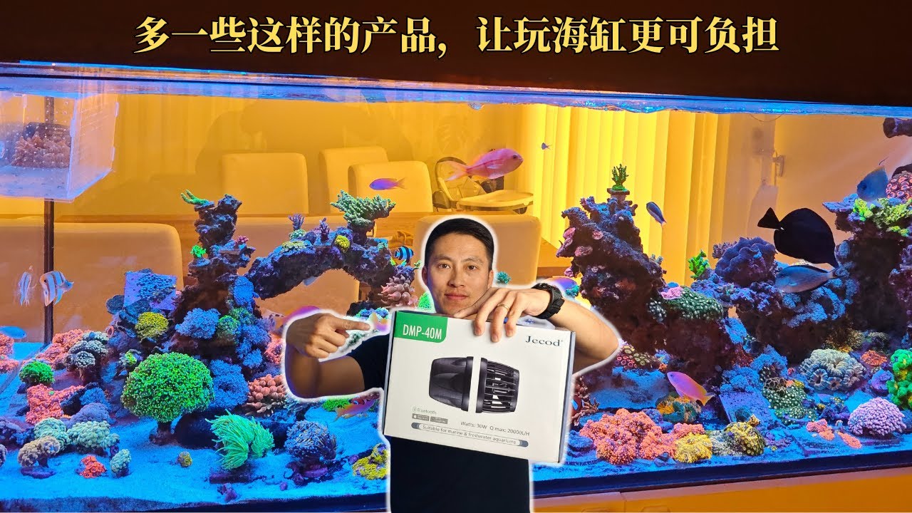 捷宝DMP造浪3个月使用体验，真的这么香吗？
