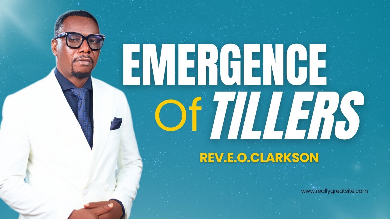 EMERGENCE OF TILLERS  || Breaking Fallow Grounds for a New Move of God