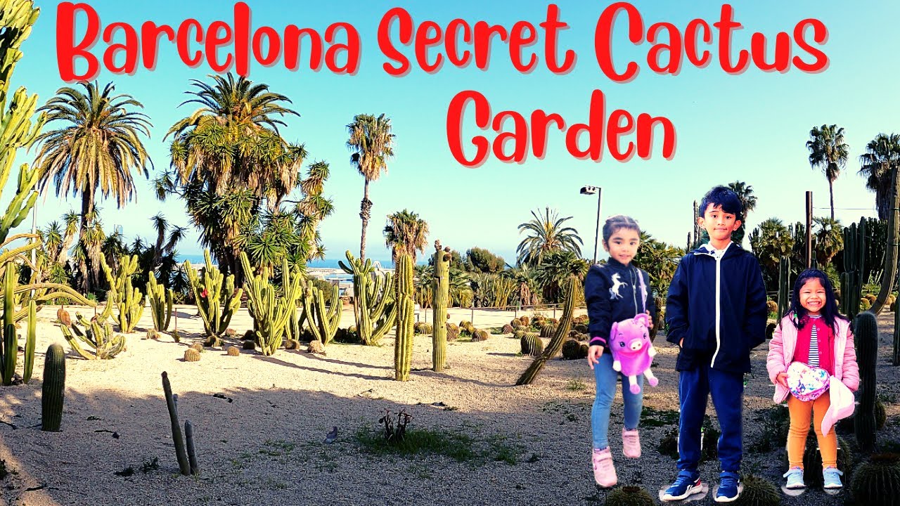 Barcelona's Secret Cactus Garden | Moss&egrave;n Costa i Llobera Gardens (Montj&uuml;ic) 4k