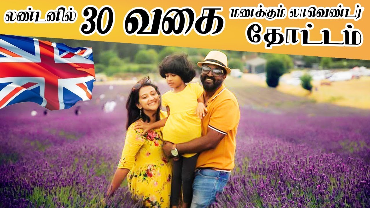 Lavender Farm London | Best Lavender Farm Hitchin | London Tamil Vlog