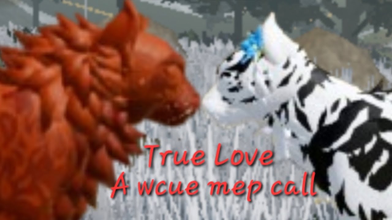 ♡ True Love ♡ A valentine's day wcue mep call (12/22 taken 9/22 done) 