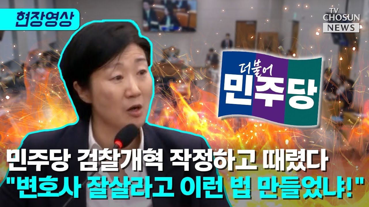 민주당 면전서 검찰개혁 문제점 말하다 폭발한 국선변호인 [티조Clip]
