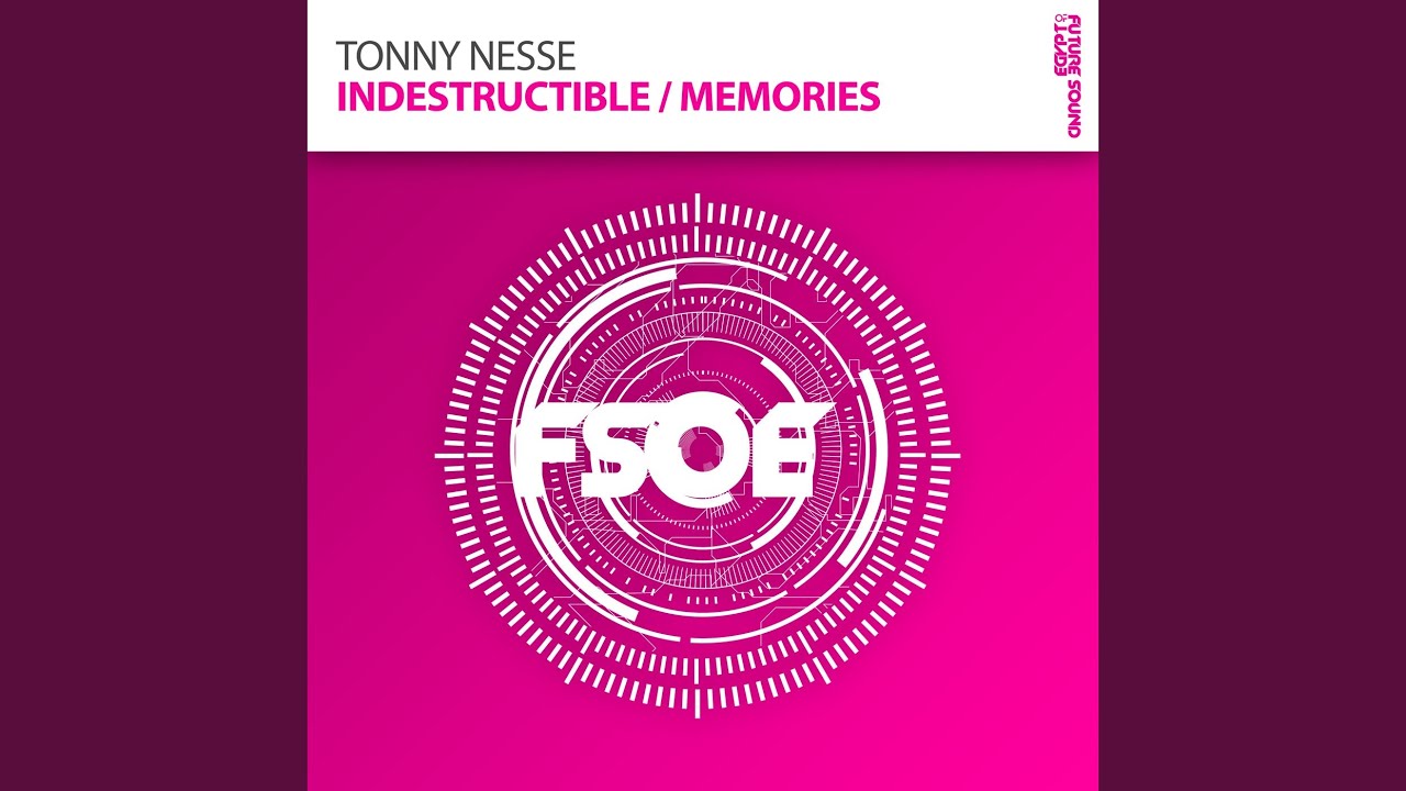 Indestructible (Ahmed Romel Remix)