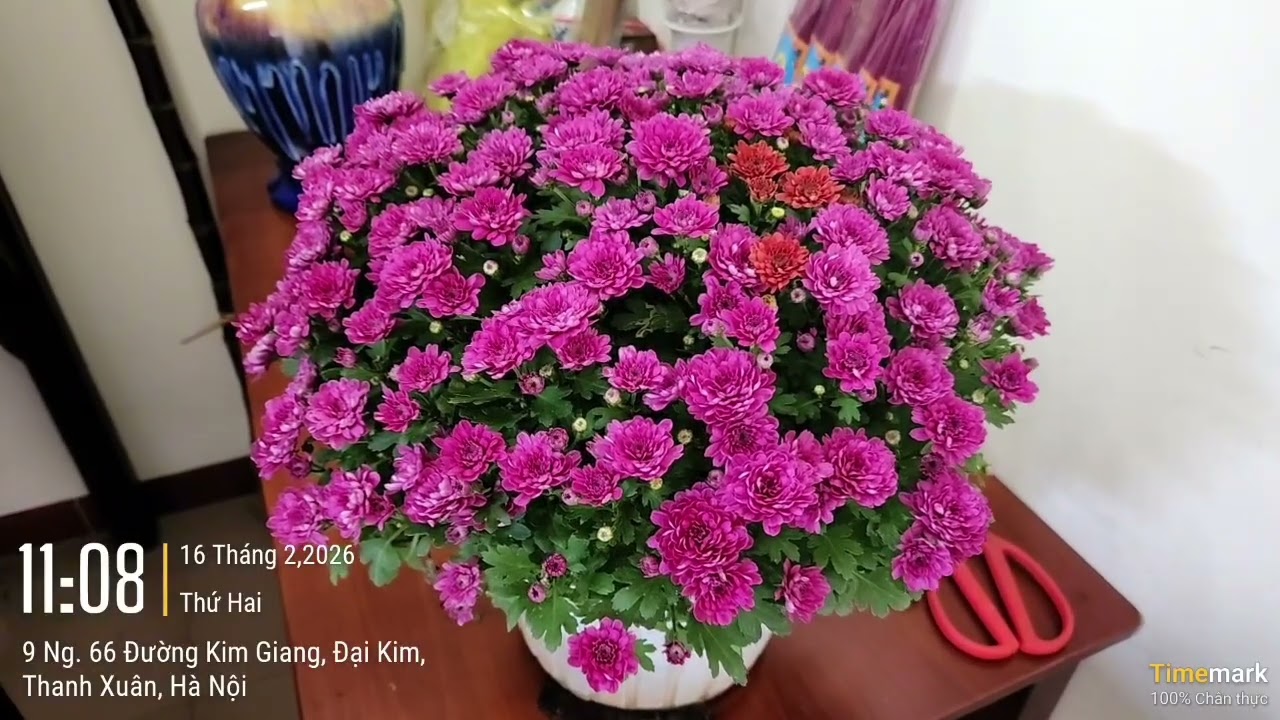  BÀN THỜ GIA TIÊN TẠI HN TRƯA 30 TẾT  (16 tháng 2, 2026)
